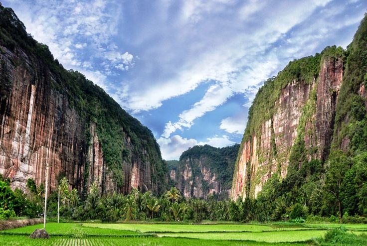 Lembah Harau dengan tebing dan sawah hijau